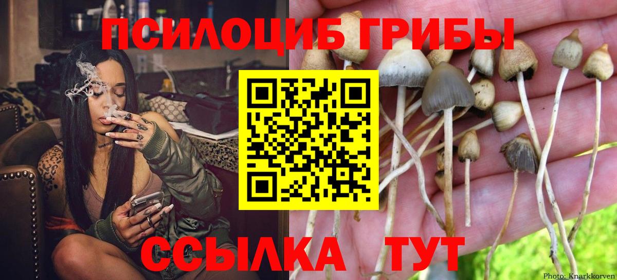 Галлюциногенные грибы Magic Shrooms Карталы